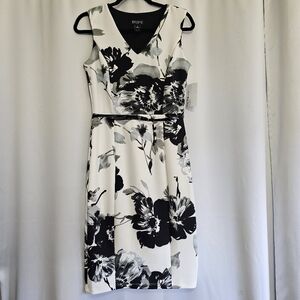 NWT Enfocus Studio size 8 Black and White Floral sheath dress with belt